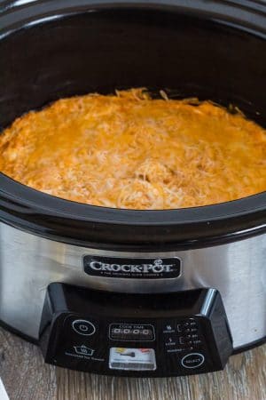Crock Pot with Buffalo wing dip in it.