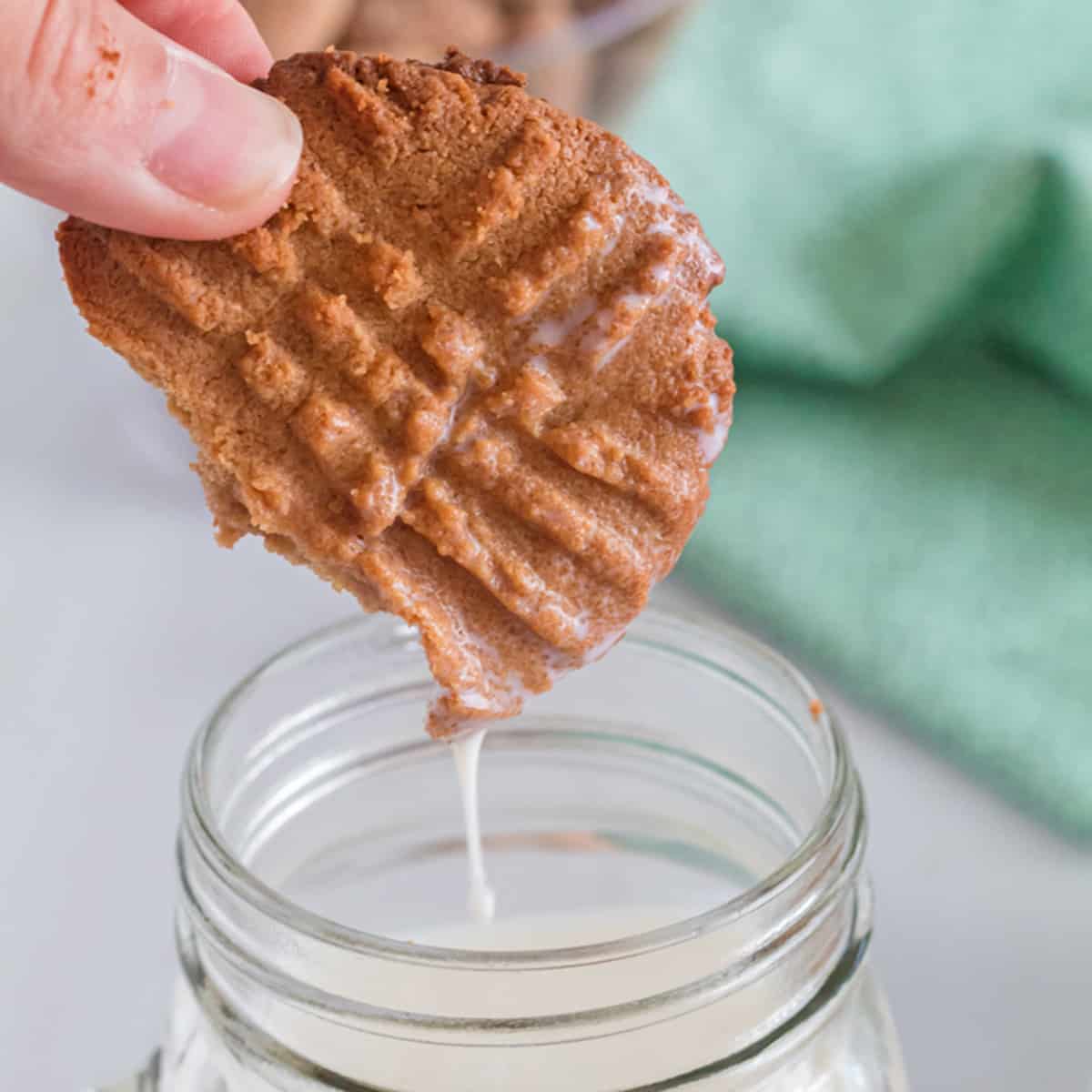 A peanut butter cookie being dunked in milk.