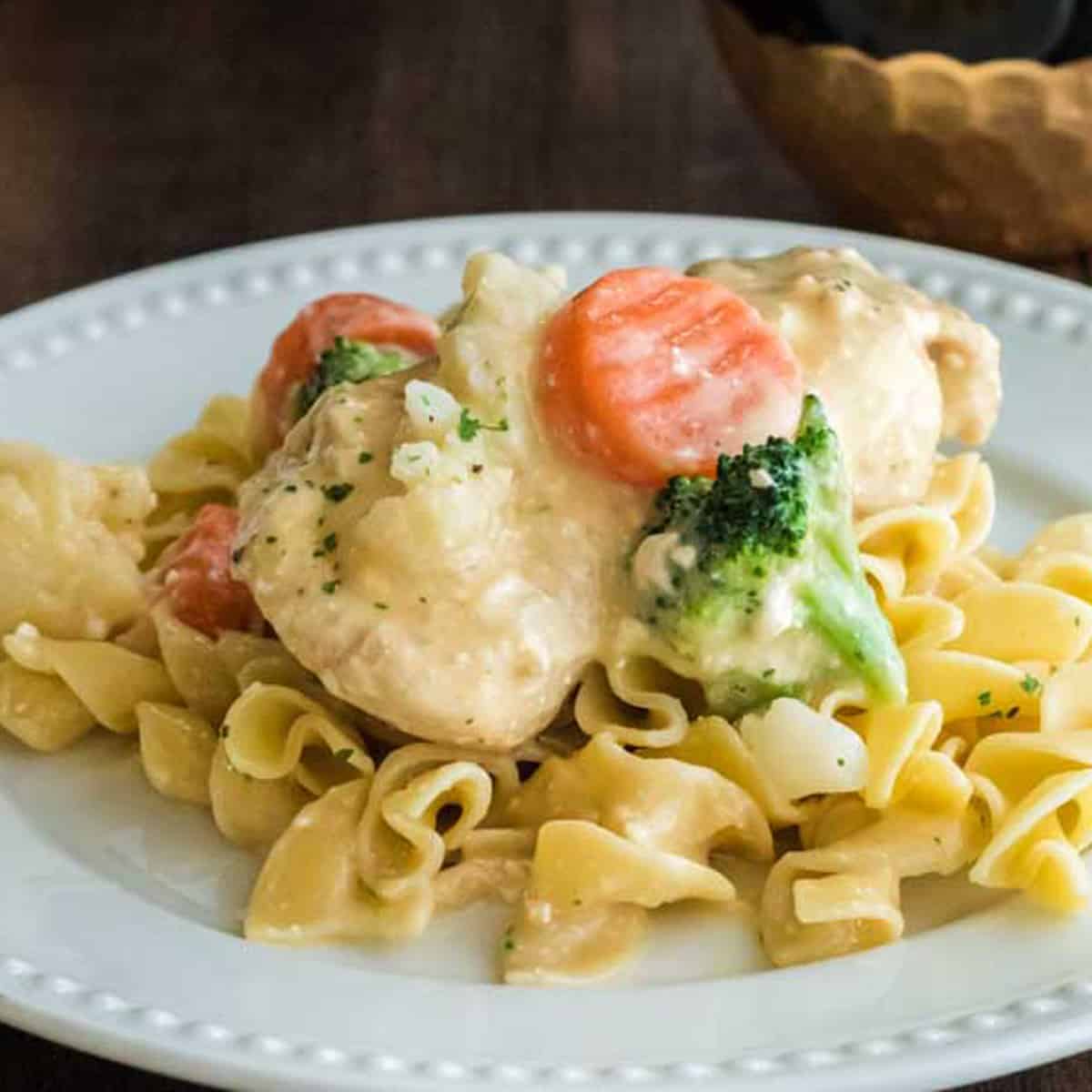 A plate of creamy chicken over noodles.