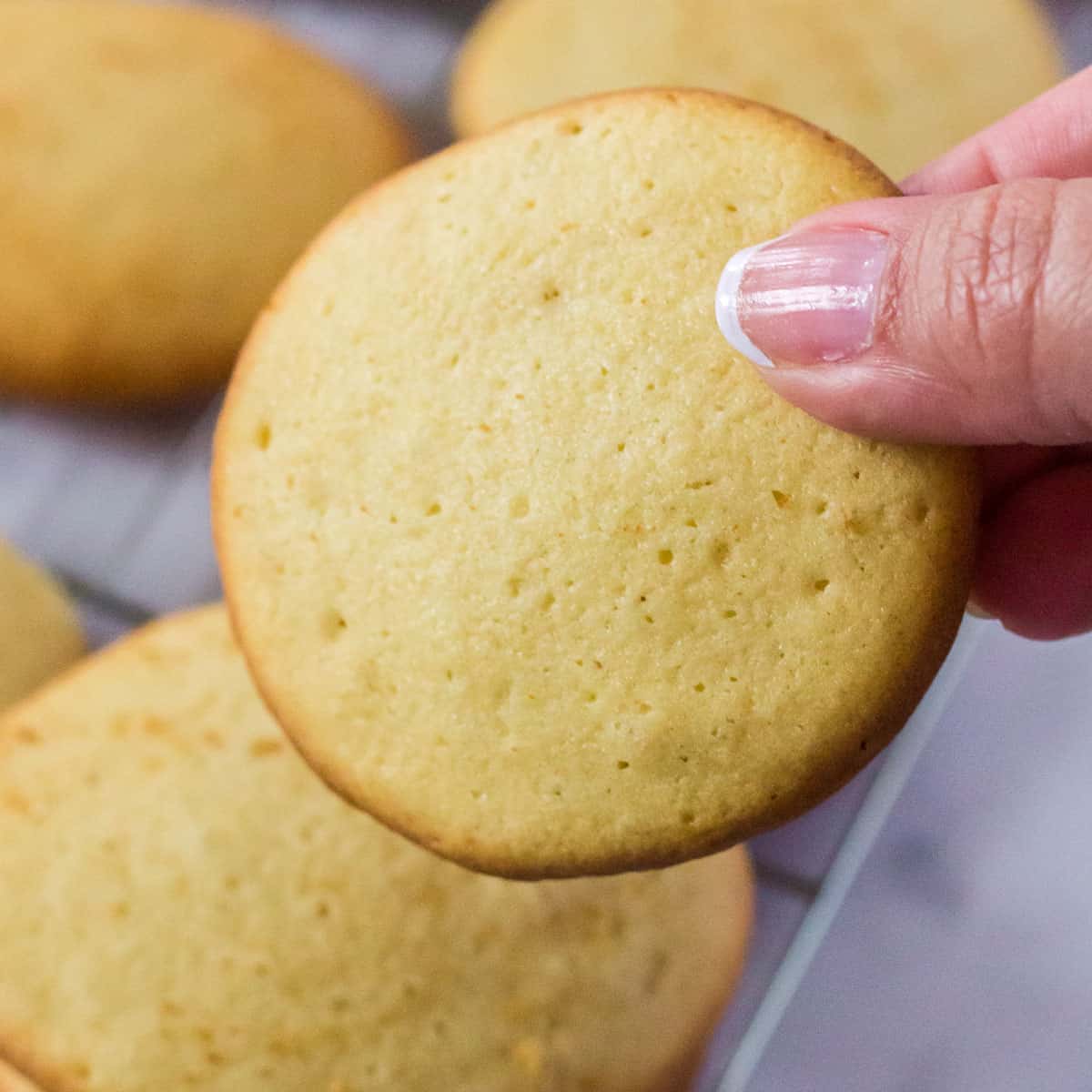 Eating an Amish sugar cookie A hand, holding a cookie
