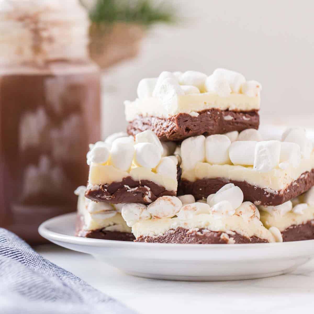 A plate of hot chocolate fudge. A pile of fudge with a mug of hot chocolate.
