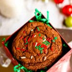 A bunch of chocolate cookies in a holiday bag.