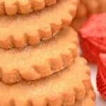 A stack of brown Christmas cookies.