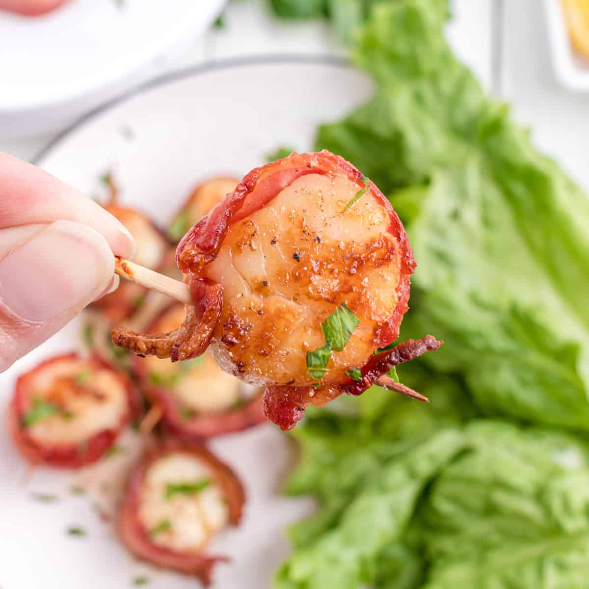 A bacon-wrapped scallop being picked up with a toothpick.