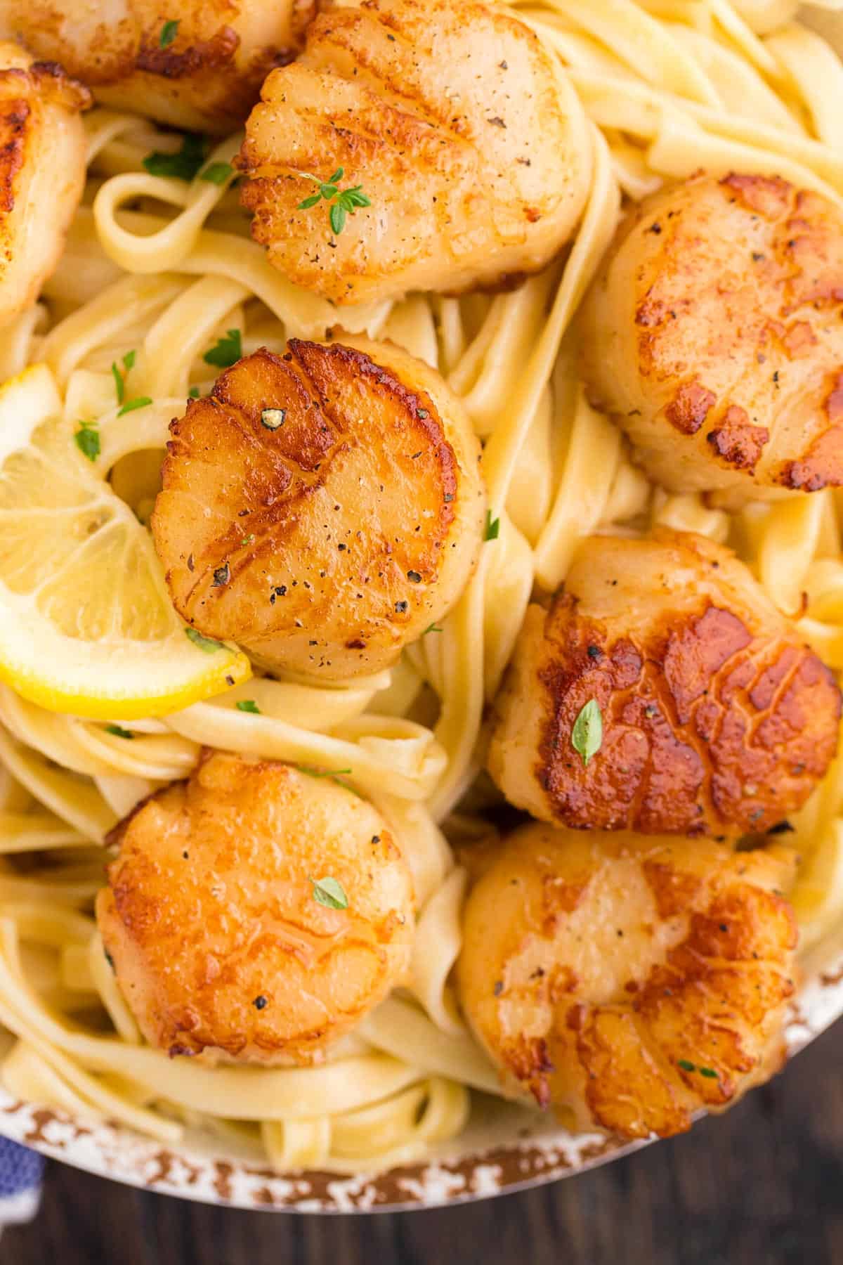 A seafood dinner of seared scallops overhead view of some food served over pasta.