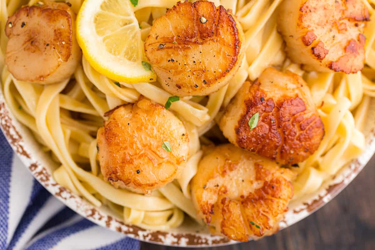 A dinner of seared scallops A bunch of scallops on a bed of pasta.