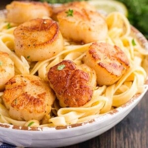 A bowl of seared sea scallops on a bed of pasta.