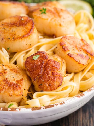 A bowl of seared sea scallops on a bed of pasta.