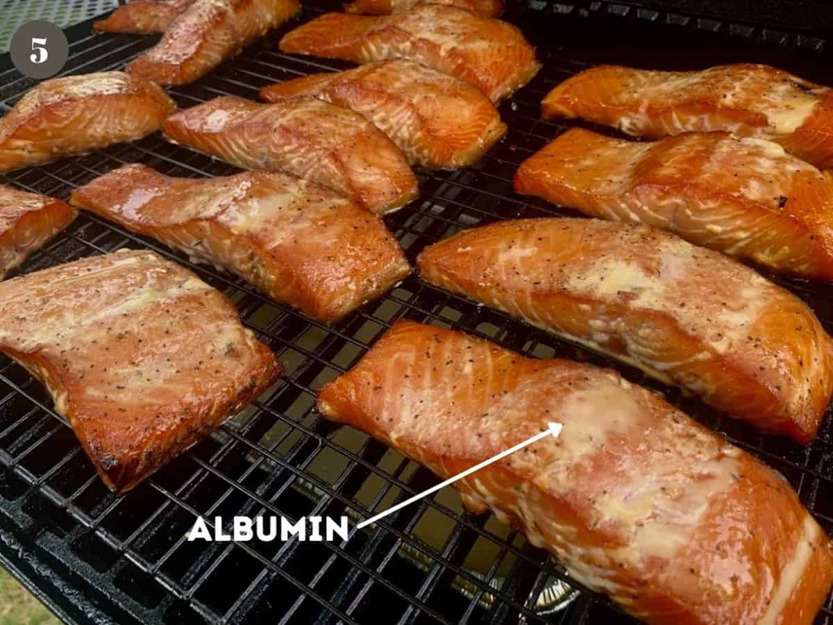 Albumin coming out of smoked salmon.
