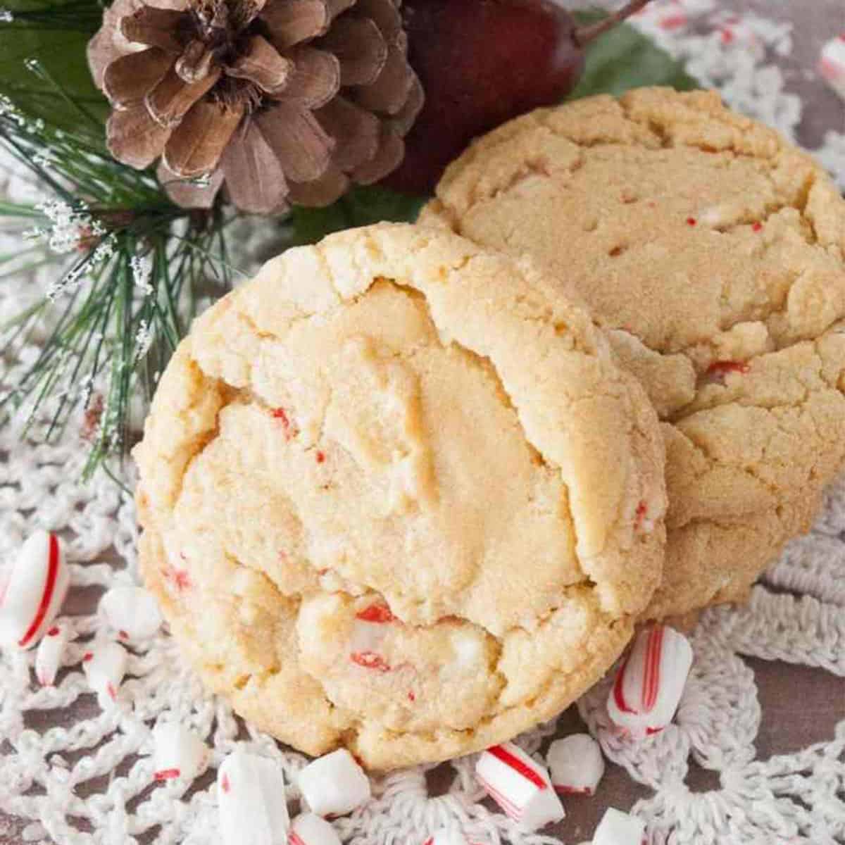 Round cookies with crushed candy canes and a pine cone.