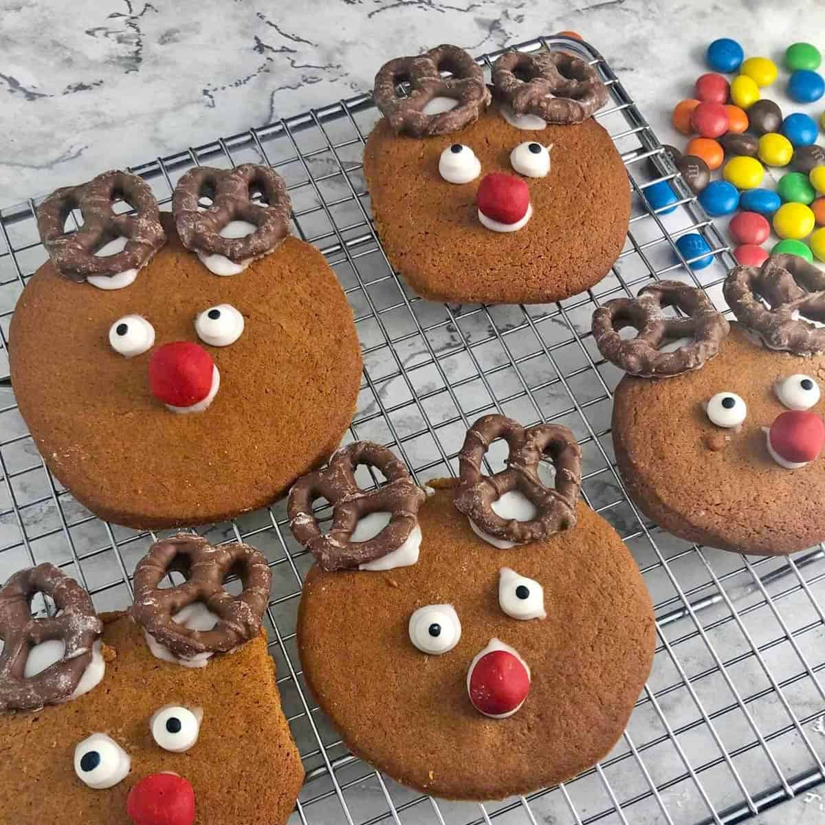 A group of reindeer ginger biscuits.