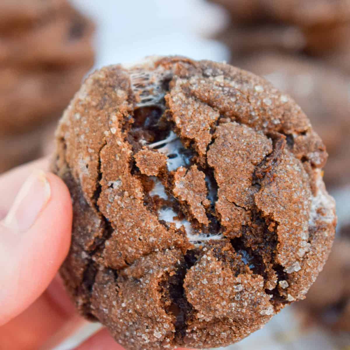 A chocolate cookie with a gooey white filling.