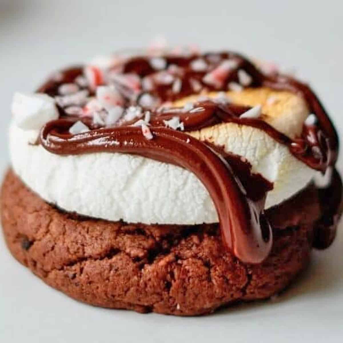 An ooey chocolate cookie topped with a marshmallow and chocolate dripping off the top.