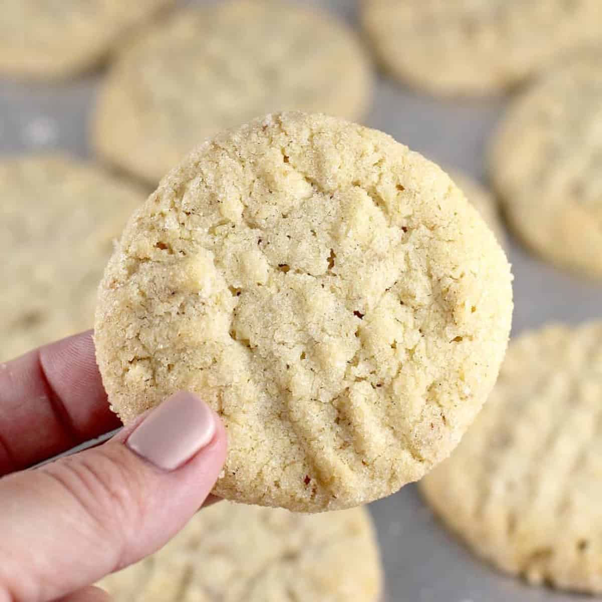 A cookie being held in a hand.