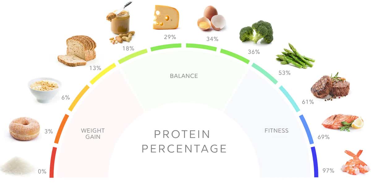A chart showing percentage of protein of different foods.
