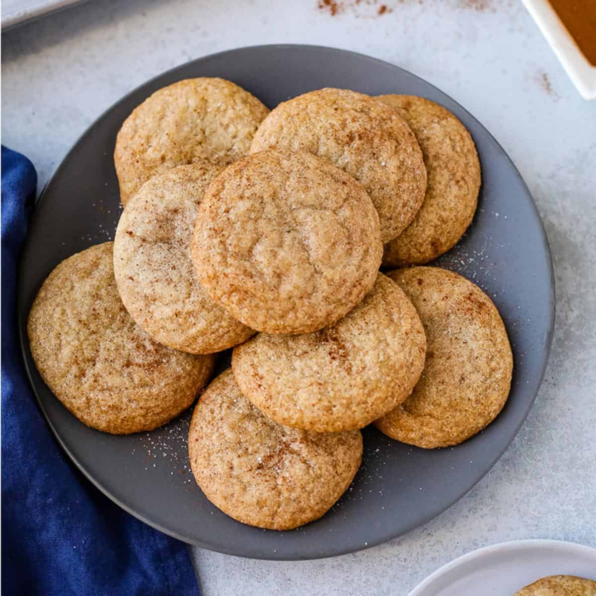 A plate of round brown cookies.