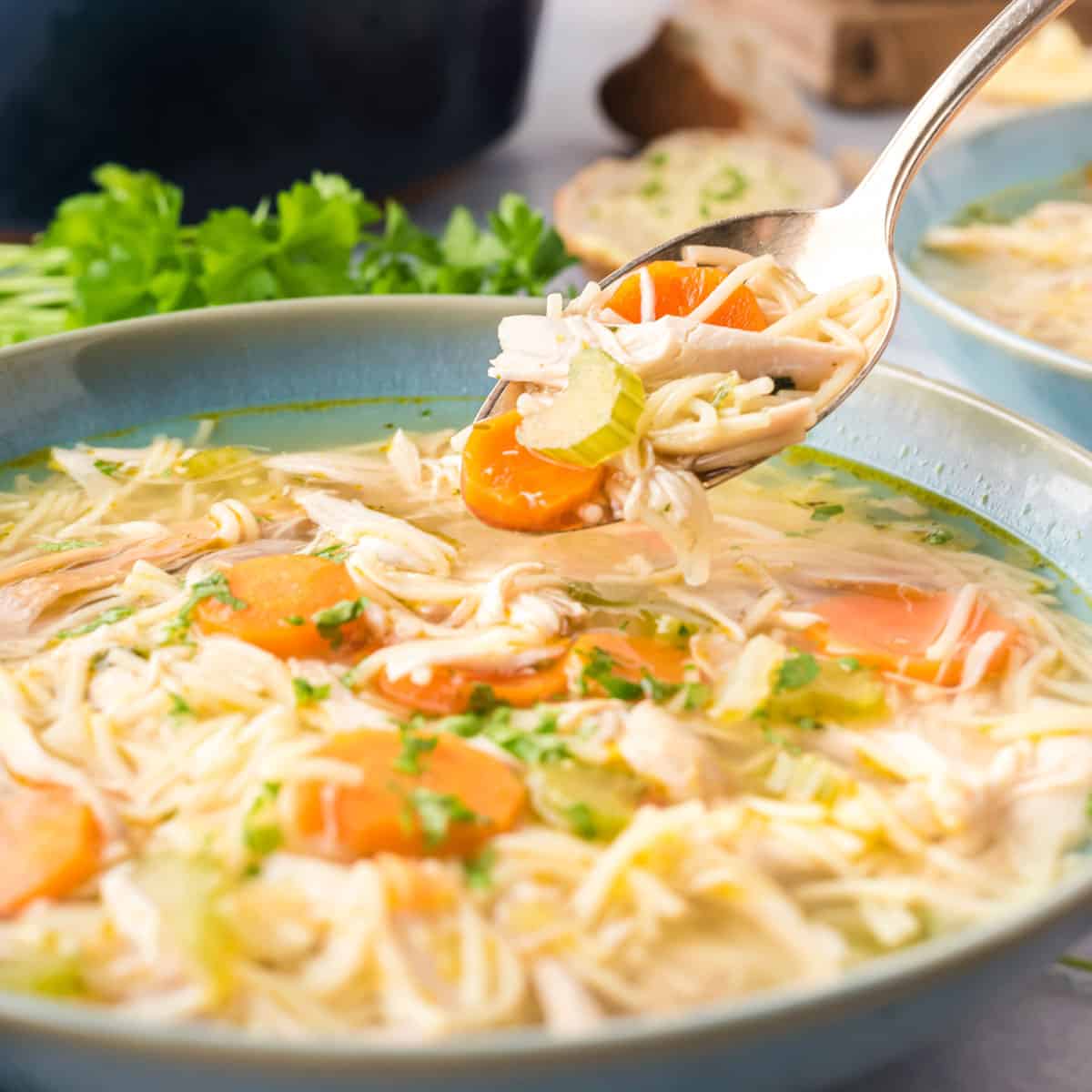 https://www.plattertalk.com/wp-content/uploads/2021/11/A-spoonful-of-Lipton-noodle-soup-with-rotisserie-chicken.jpg