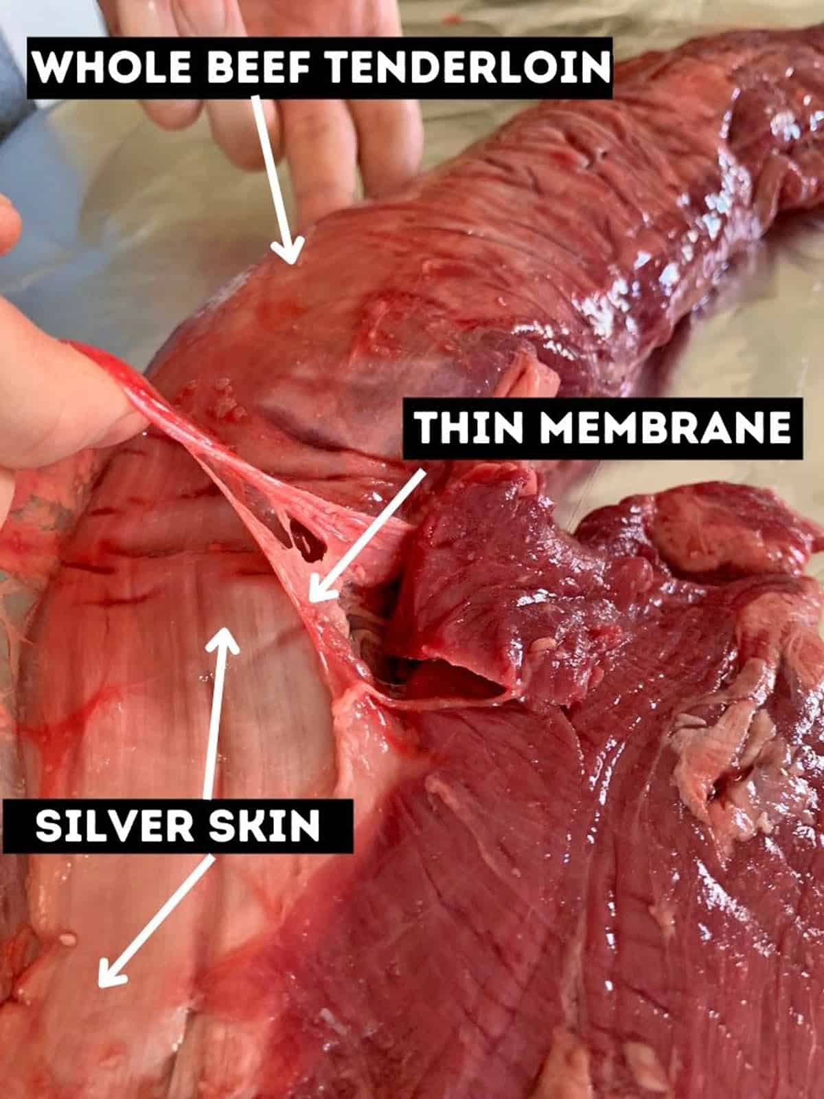 Trimming the silver skin from a whole beef tenderloin.