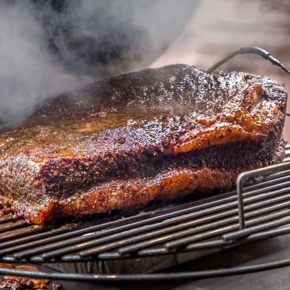 A whole packer brisket on a grill.