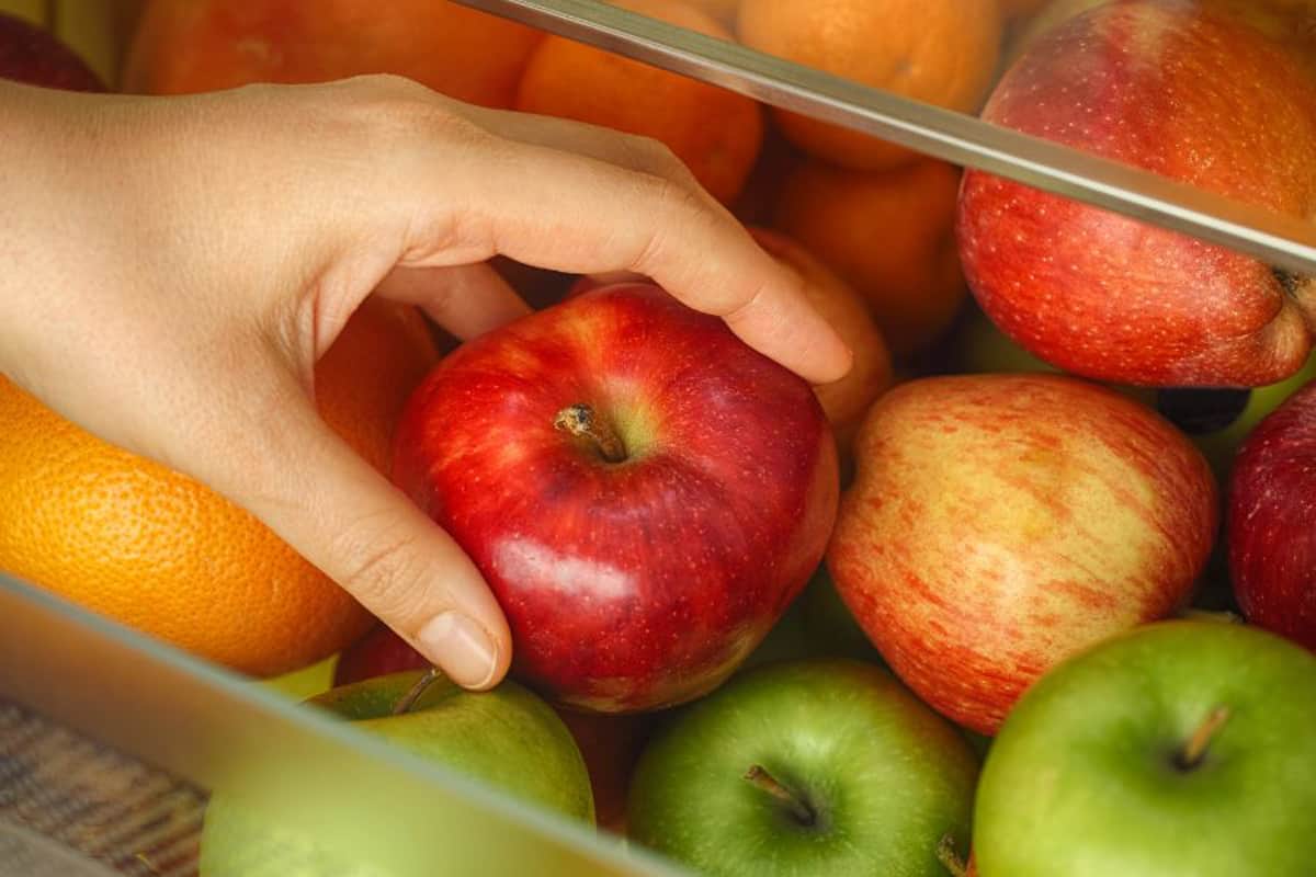 Apples in a refrigerator drawer.