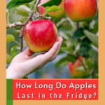 How Long Do Apples Last?