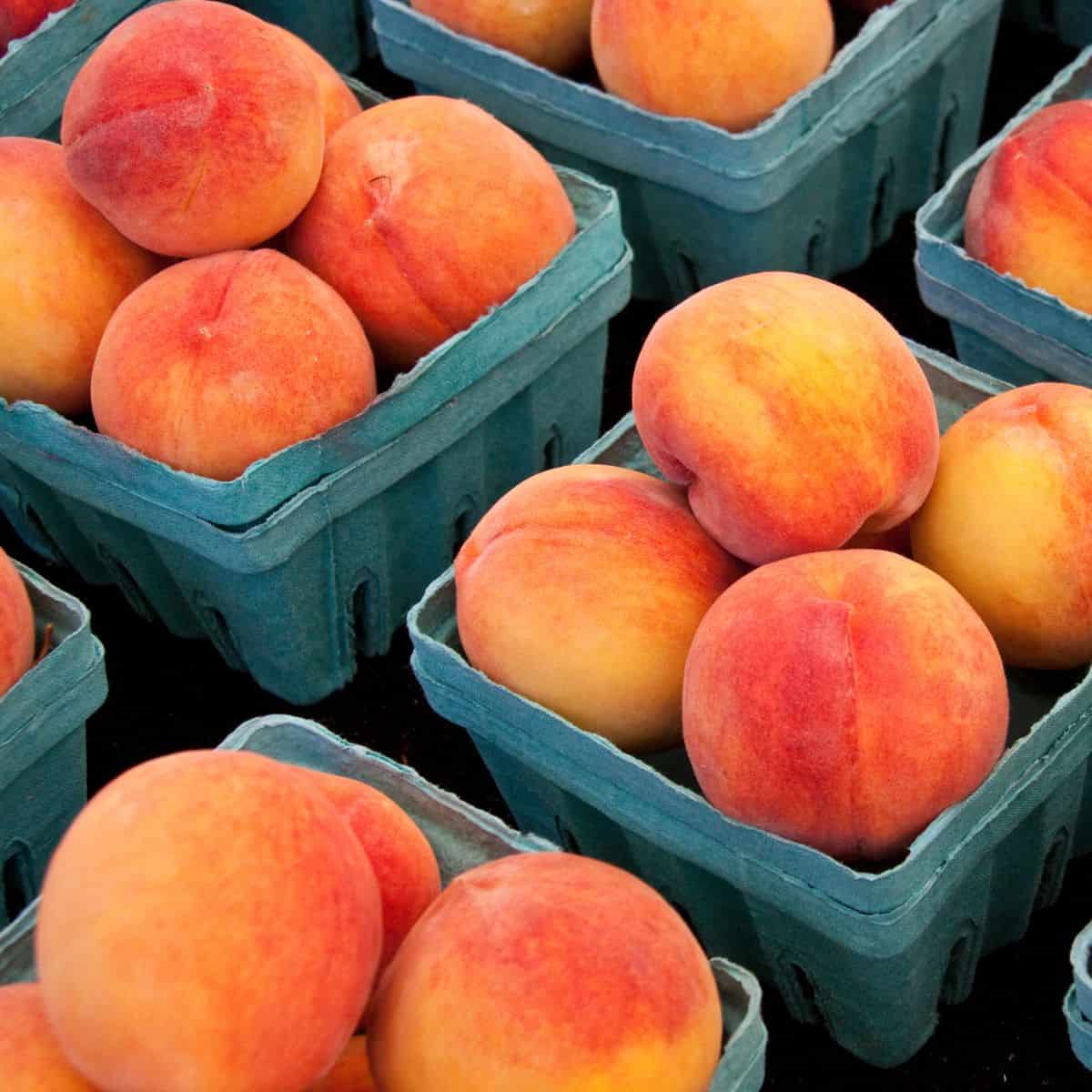 Fresh peaches in the store.