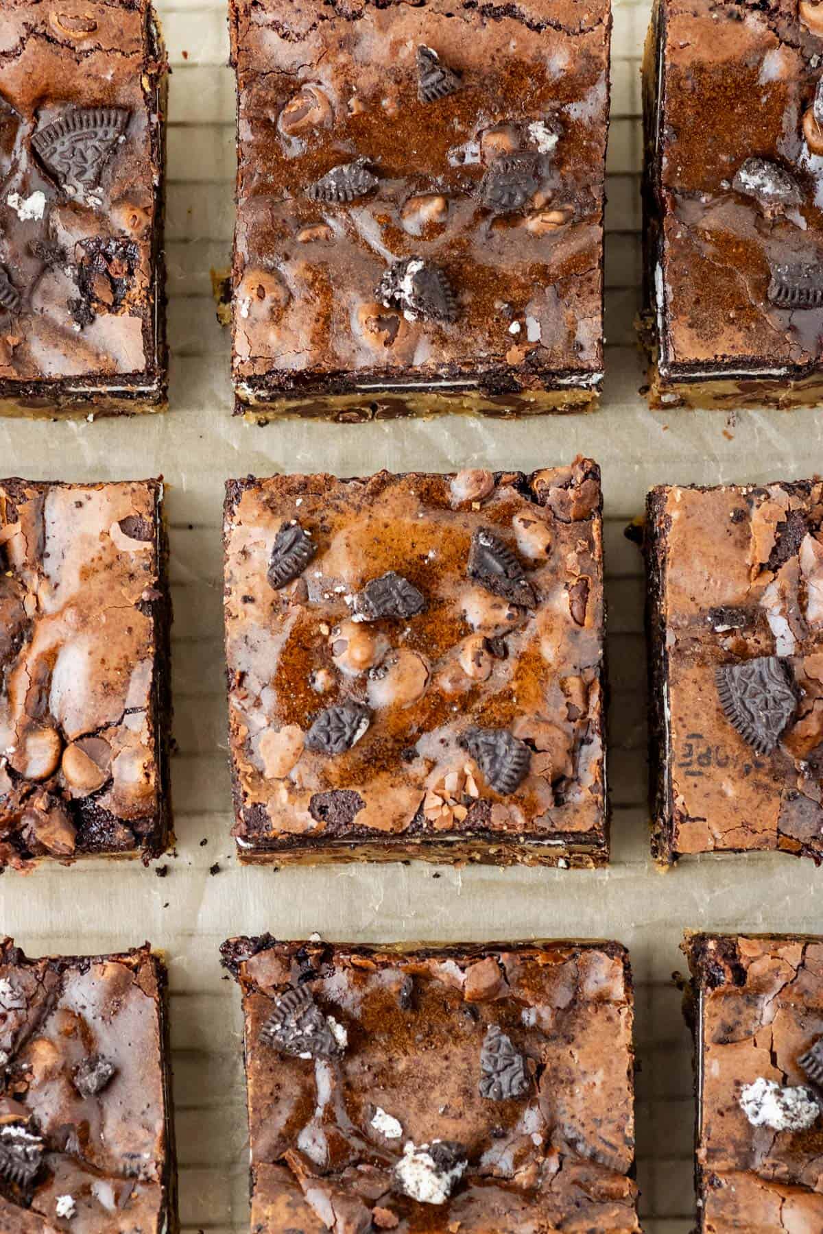 A bunch of brownie cut into squares.
