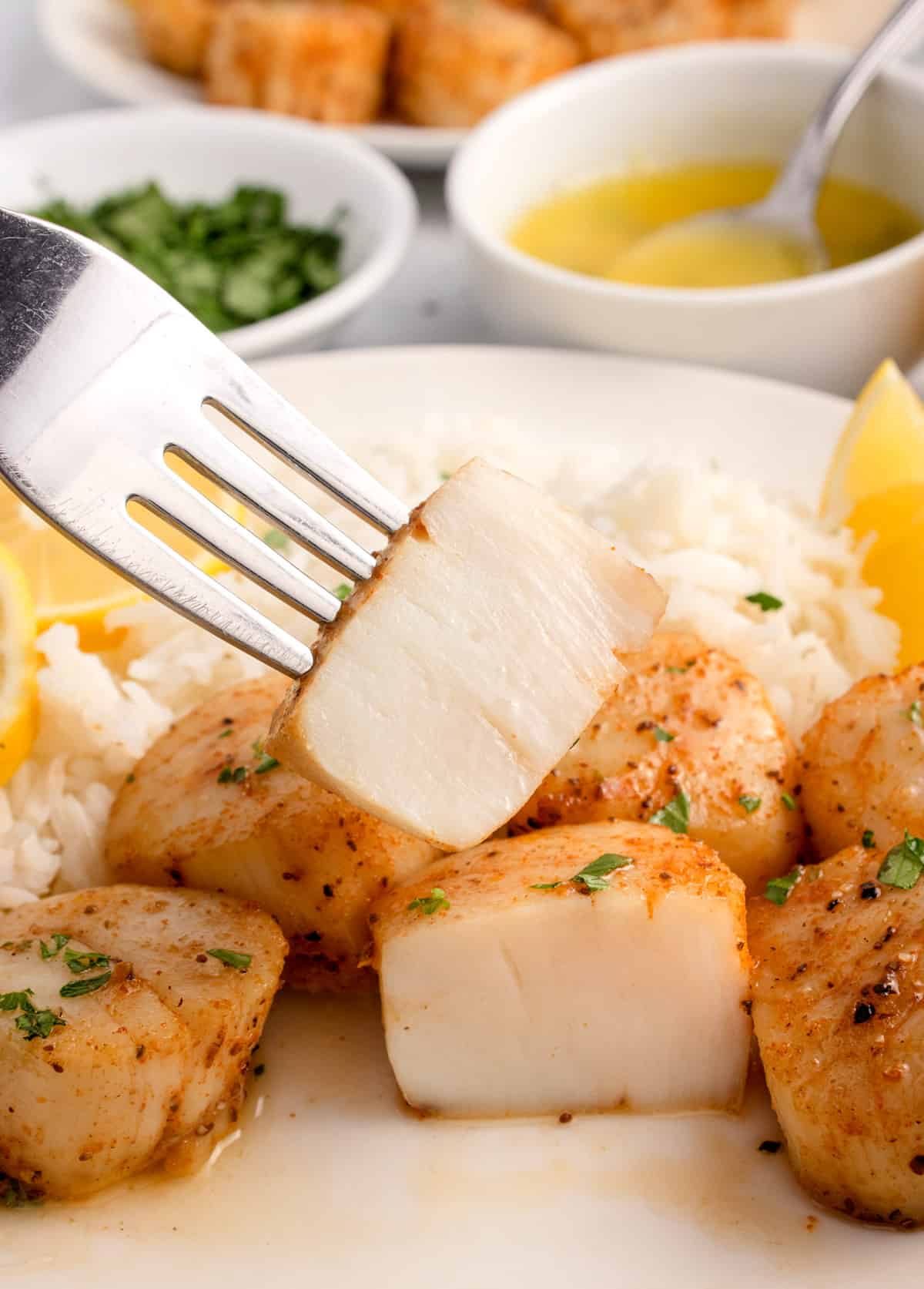 A plate of scallops and a fork going in for one.