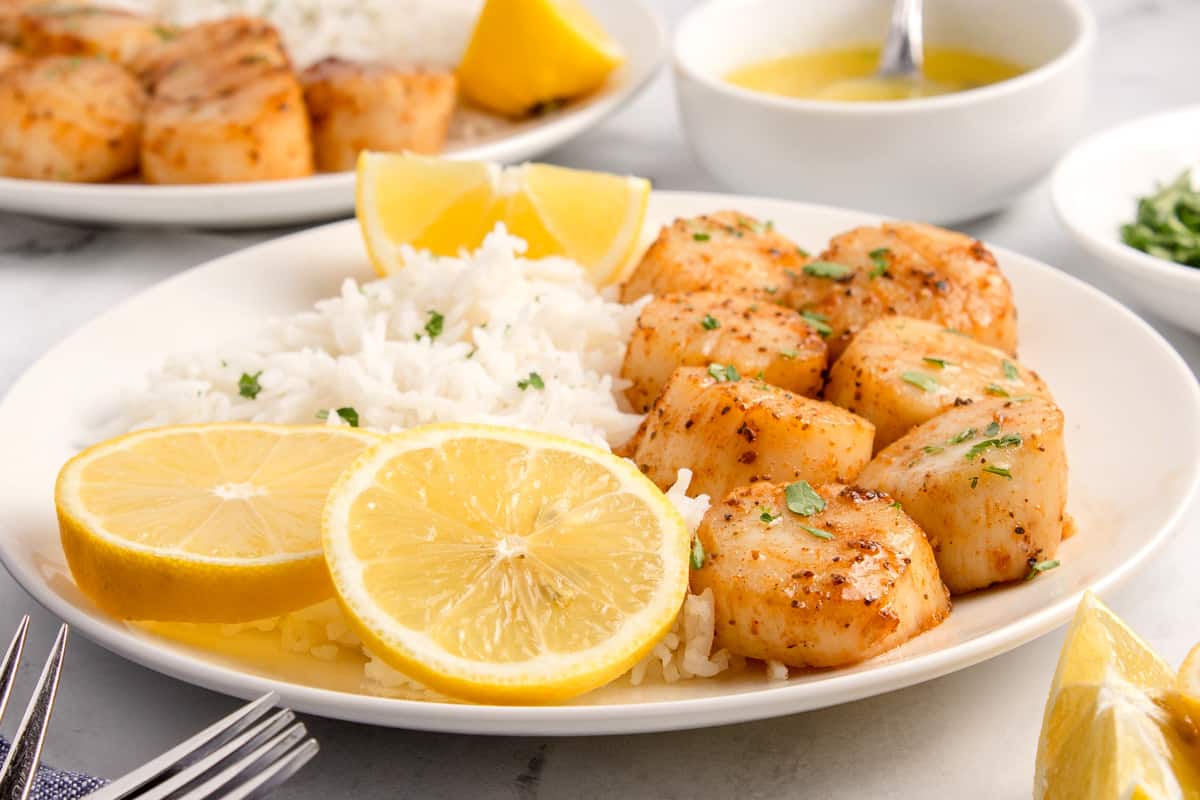 A plate of scallops and rice.