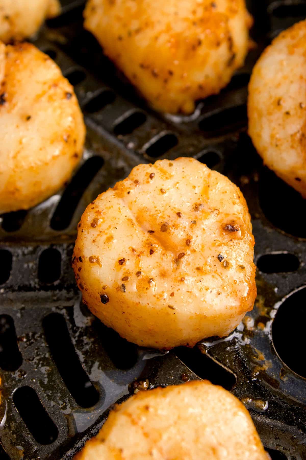 Some scallops in an air fryer basket.