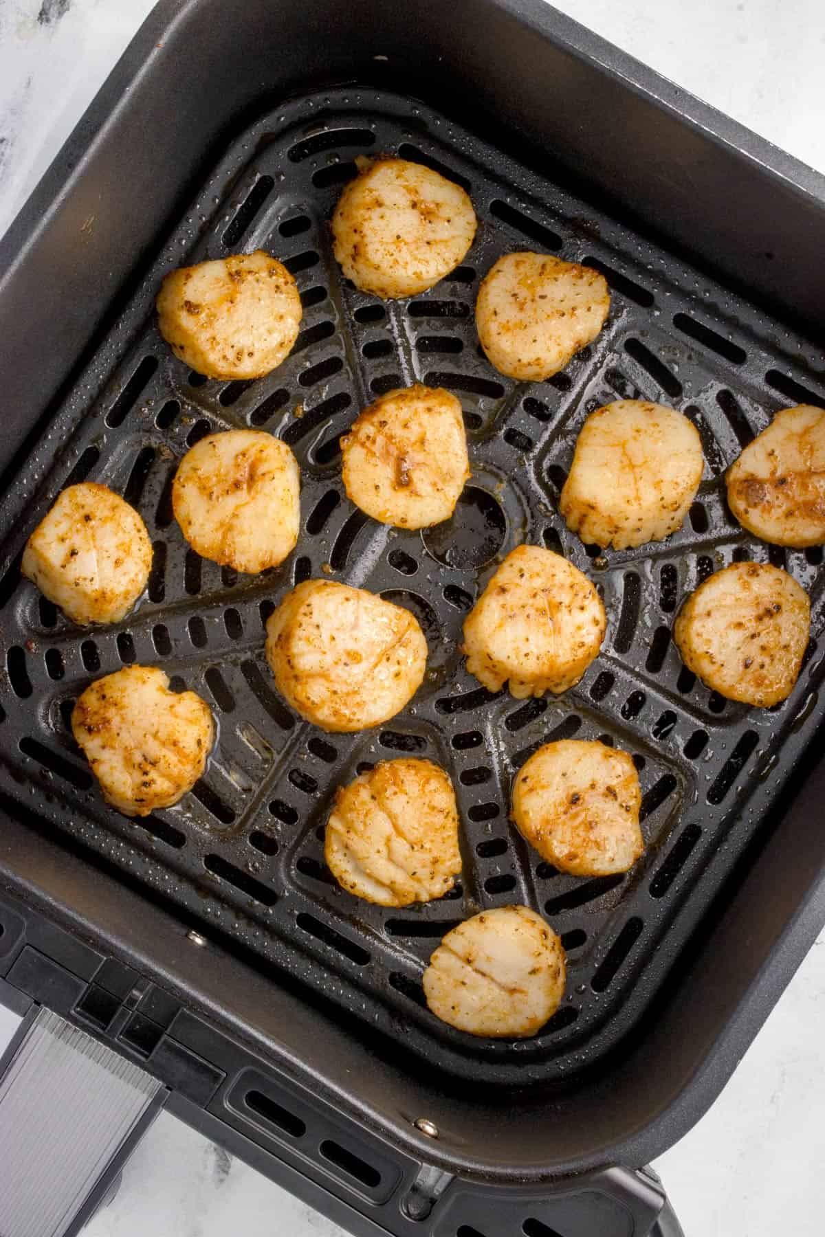 Some scallops in an air fryer.
