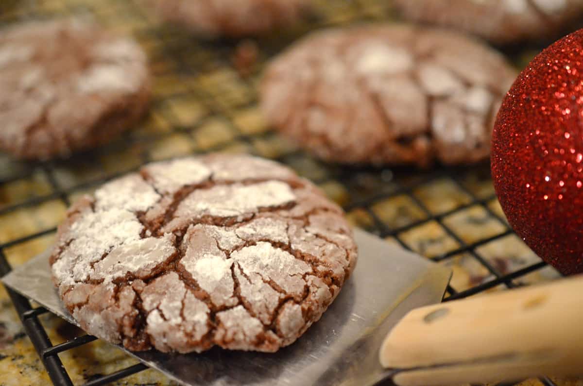 A chocolate crinkle cookie on a spatula.