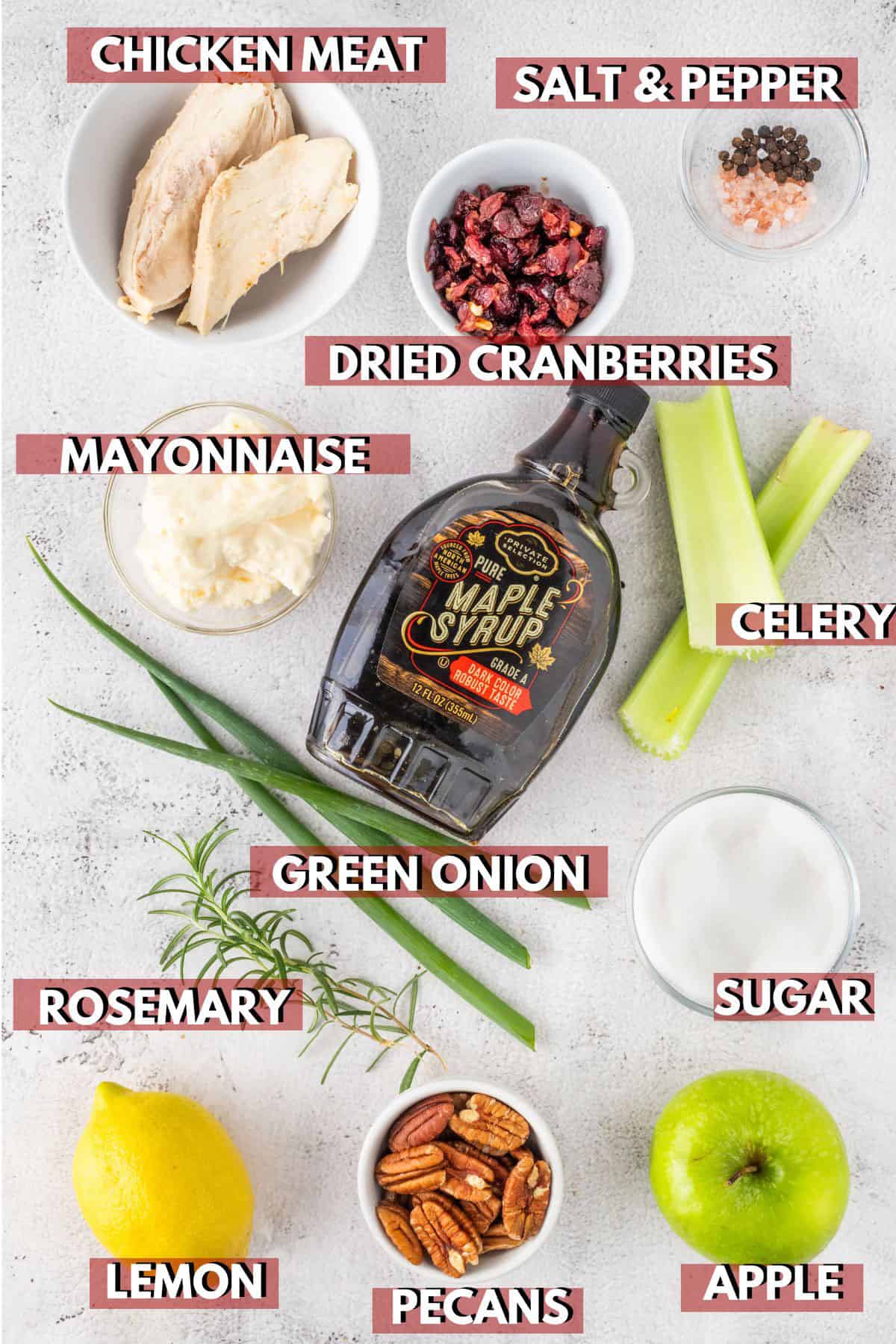 Chicken, cranberries, pecans and other ingredients for cranberry chicken salad.