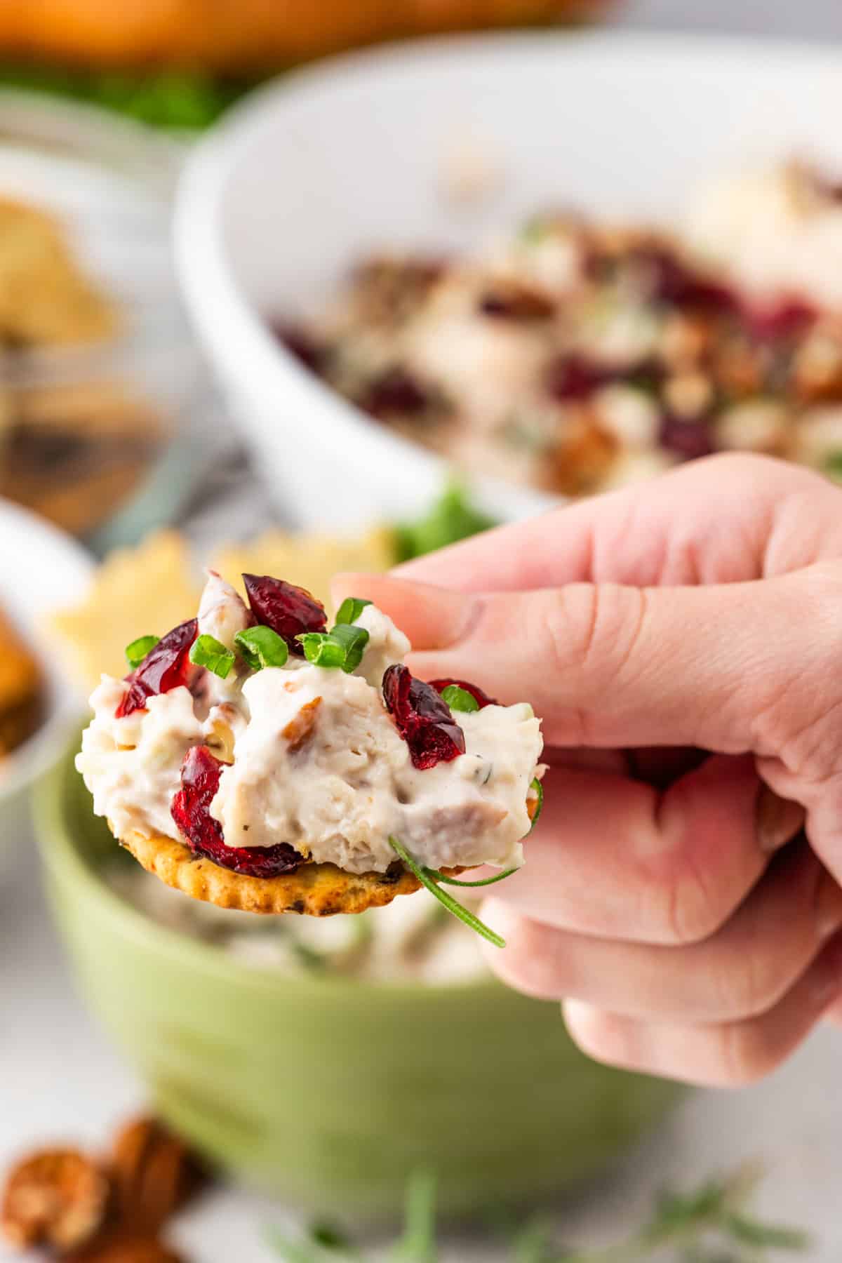 Some cranberry pecan chicken salad spread on a round cracker.